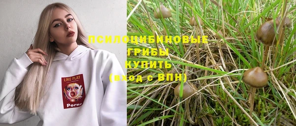 spice Новозыбков