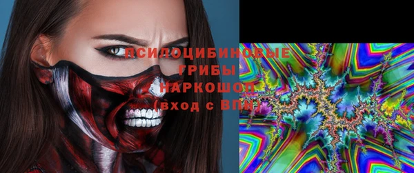 дурь Новодвинск
