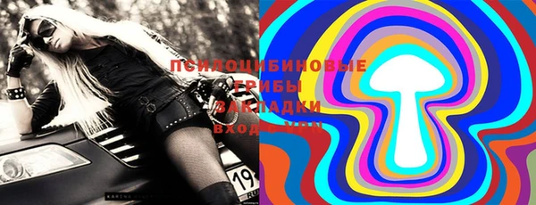 spice Новозыбков
