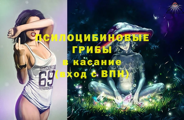 дурь Новодвинск